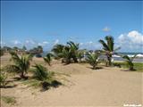 Playa Sardinera - HATILLO